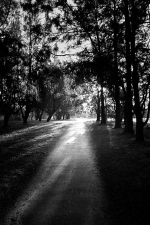 path forward